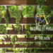 I vini del futuro a Naturae&Purae