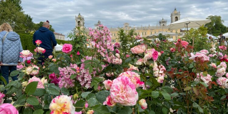 Dal 24 al 26 aprile la Reggia di Colorno (PR) ospita “Nel Segno del Giglio”