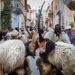 Il 13 giugno al via il calendario degli eventi nel centro di Arzachena (SS) e nei suoi borghi