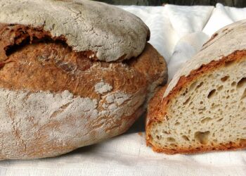 Slow Food celebra i cereali con Slow Grains: appuntamento a Reggio Calabria dal 7 al 9 novembre