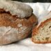 Slow Food celebra i cereali con Slow Grains: appuntamento a Reggio Calabria dal 7 al 9 novembre