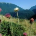 Parco Nazionale del Pollino