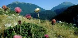 Parco Nazionale del Pollino