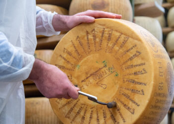 Caseifici Aperti: il 20 e 21 aprile appuntamento col Parmigiano Reggiano
