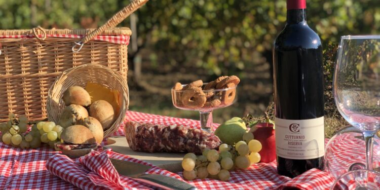In Emilia per un gustoso pic nic