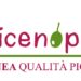 Al via il VINEA FESTIVAL, eccellenze alla ribalta dal 1° AL 3 agosto a Offida