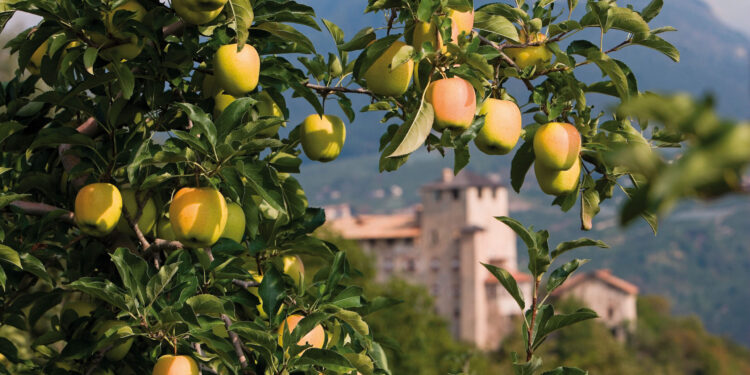 Dal 13 al 15 ottobre in Val di Non torna Pomaria, la festa della mela
