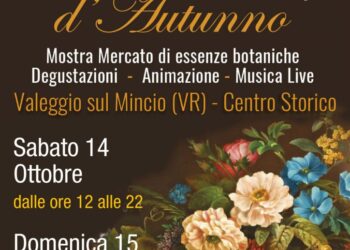Sapori e Profumi d’Autunno