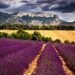 La Francia impressionista: paesaggi ed emozioni del colore provenzale