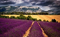 La Francia impressionista: paesaggi ed emozioni del colore provenzale