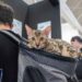 “Quattrozampeinfiera”: il 24 e 25 febbraio a Roma la festa dei nostri amici animali
