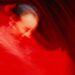 Dal 27 ottobre a Milano la Mostra Fotografica “Rosso”
