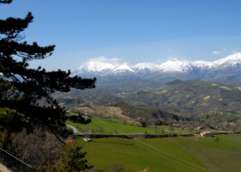 Licini