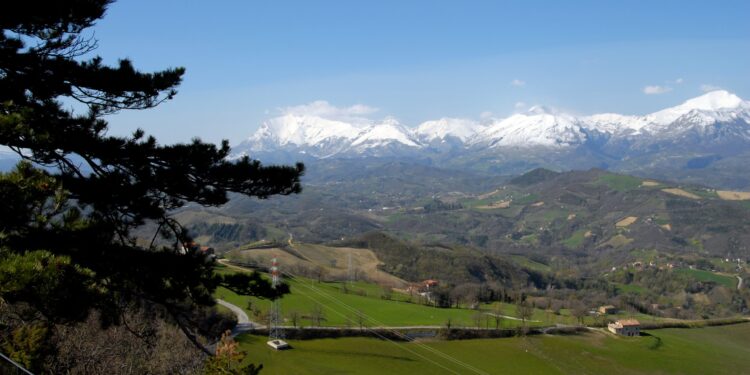 Licini