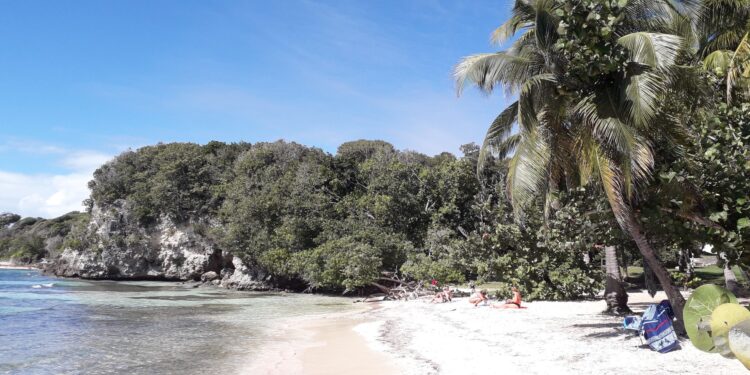 Diario di viaggio: alla scoperta della Guadalupa – Prima parte