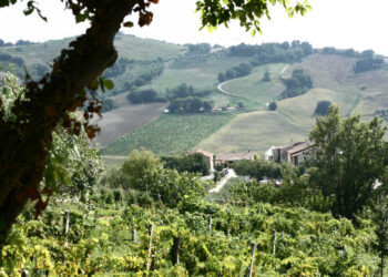 Nuova Convenzione Tessera Turit con l’Azienda Agricola Moroder (AN)