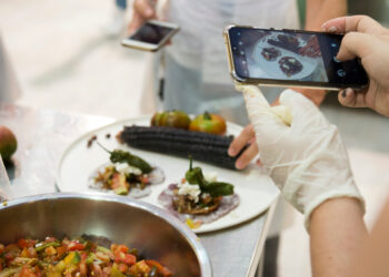 Al Parco Dora di Torino dal 22 al 26 settembre Slow Food presenta Terra Madre Salone del Gusto 2022