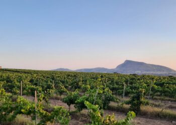 Nuova Convenzione Tessera Turit con l’Azienda Agricola Asta (PA)