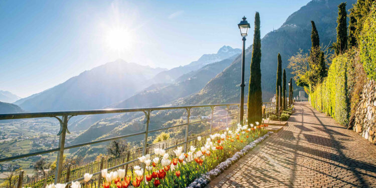 Tirolo in fiore: la primavera nell’incantevole borgo sopra Merano (BZ)