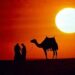 Tramonto nel deserto