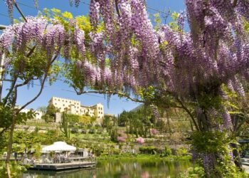 Trauttmansdorff_-_Panorama_Primavera