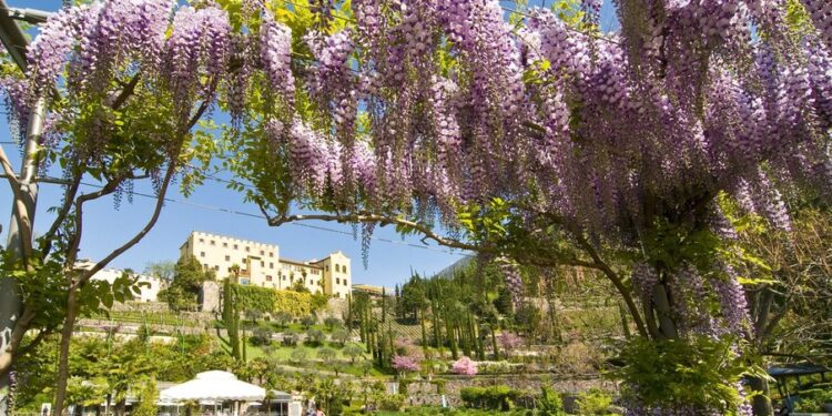 Trauttmansdorff_-_Panorama_Primavera