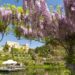 Trauttmansdorff_-_Panorama_Primavera