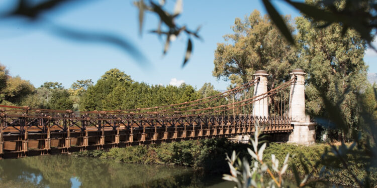 Via Francigena campana: un viaggio tra storia, natura e comunità