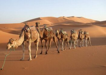 Viaggio in Marocco