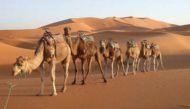 Viaggio in Marocco