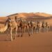 Viaggio in Marocco