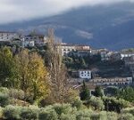 Viggianello