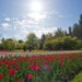 Tanti eventi fioriti in primavera nel Distretto Turistico dei Laghi