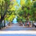 Villaggio-Camping-Costa-Splendente