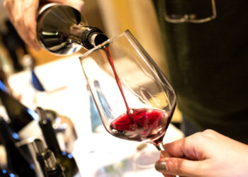VinNatur Tasting 2026: tre giorni a Gambellara (VI) per raccontare il vino naturale