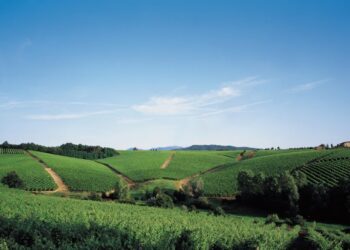 Vinitaly: 64 cantine storiche a Vinitaly 2018
