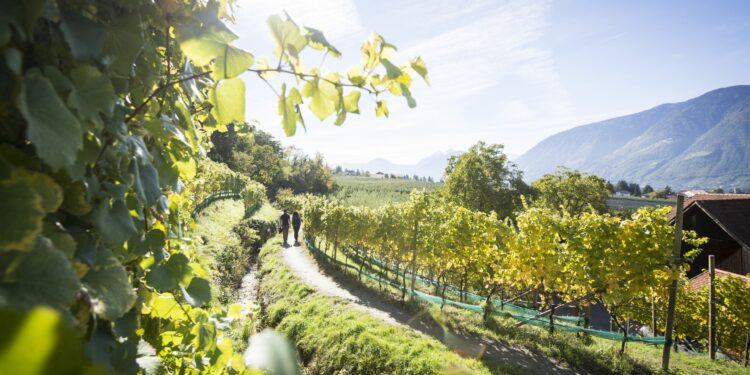 A Merano gli eventi autunnali del Ringraziamento