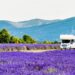 Arrivano le vacanze! Yescapa ci presenta la top 5 europea per viaggi on the road