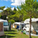 Vacanze in Croazia nei campeggi Arenaturist