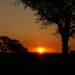 Panorama Africa