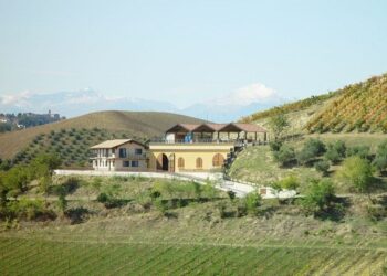 Agriturismo Azienda Agricola il Poggio del- Belvedere