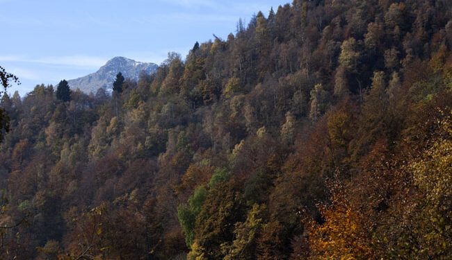 I colori dell’Autunno all’Oasi Zegna