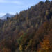 I colori dell’Autunno all’Oasi Zegna