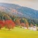 Asiago Foliage: sull’Altopiano più esteso d’Europa si celebrano i colori dell’autunno