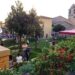 Le dieci migliori feste ed eventi turistici da non perdere in questo fine settimana!