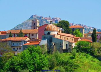 auletta