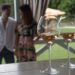 La Festa dell’Uva e del Vino in Cantina: un weekend per scoprire i vini del Lago di Garda