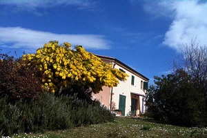 B&B Colle Lauro