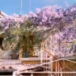 Il Glicine Bed and Breakfast