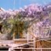 Il Glicine Bed and Breakfast